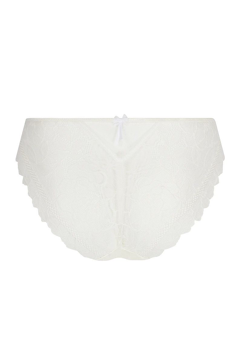 ACJ0782_sensual lace briefs Lise Charmel Sublime Organza sensual lace briefs