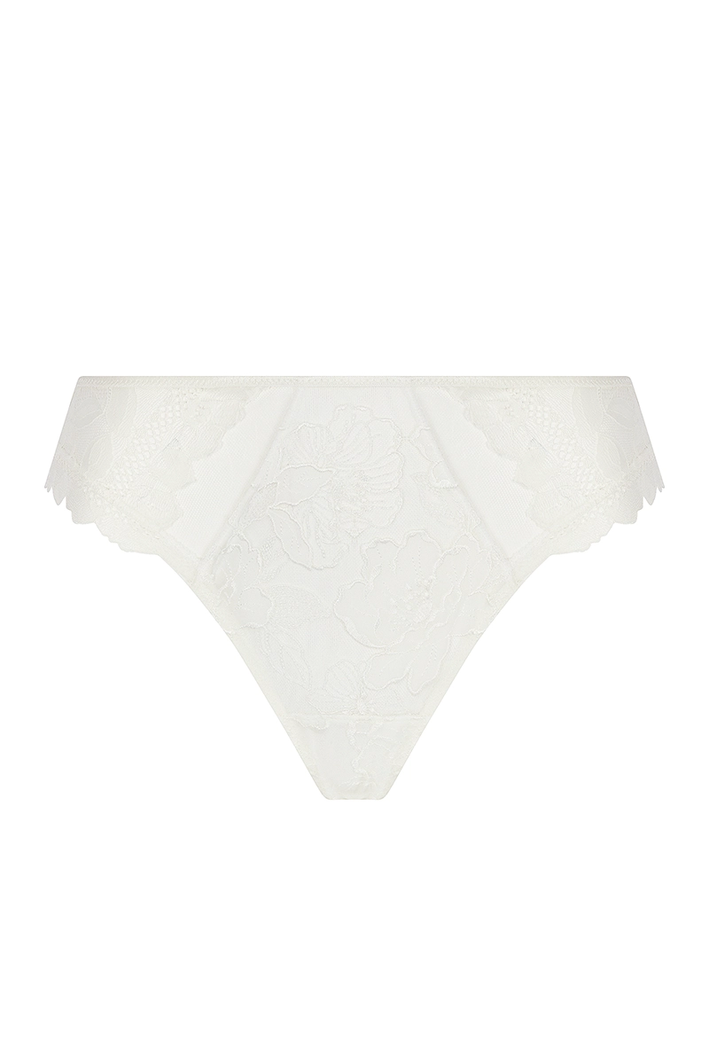 ACJ0782_sensual lace briefs Lise Charmel Sublime Organza sensual lace briefs