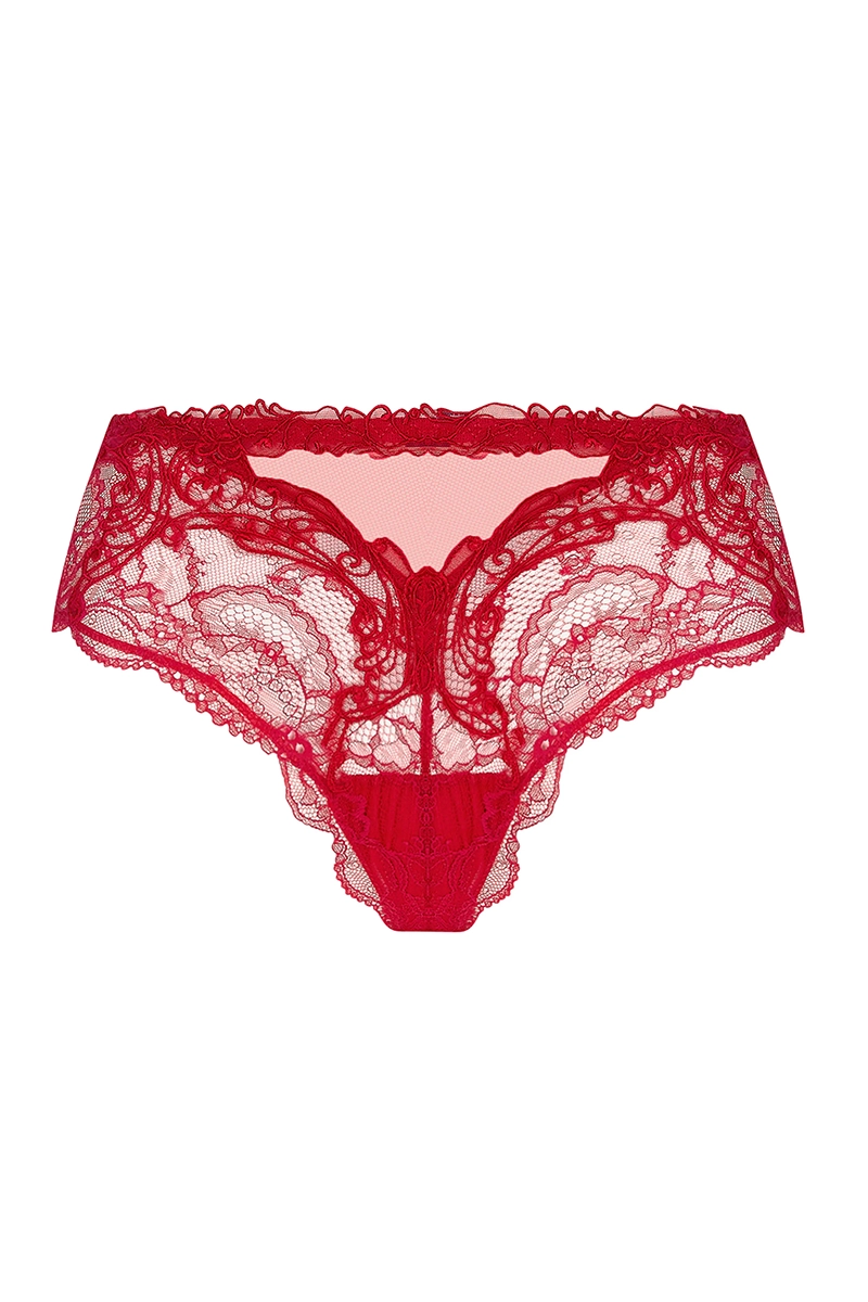 aca0403__hipster briefs Lise Charmel Soir de Venise lace hipster briefs