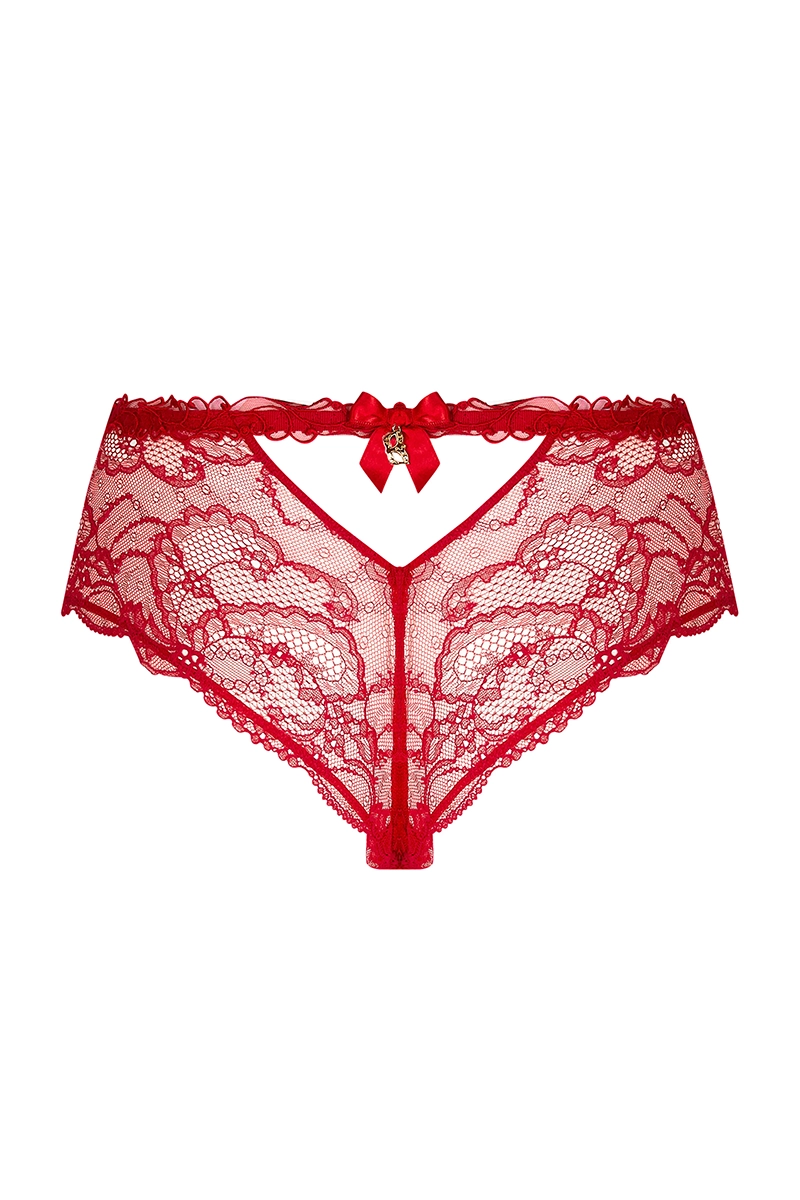 aca0403__hipster briefs Lise Charmel Soir de Venise lace hipster briefs