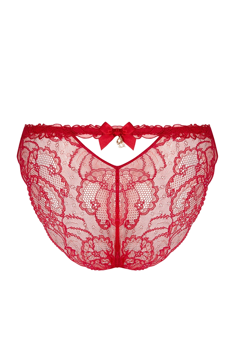 Lise Charmel Soir de Venise sensual lace briefs